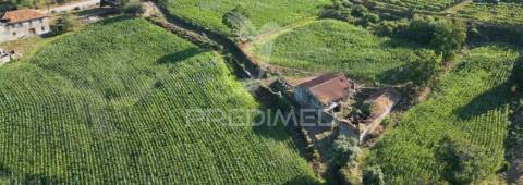 Quinta com "2 moradias independentes", em oleiros, guimarães