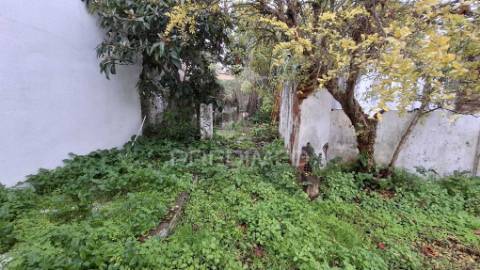 Moradia t1 térrea para recuperar em alpiarça.