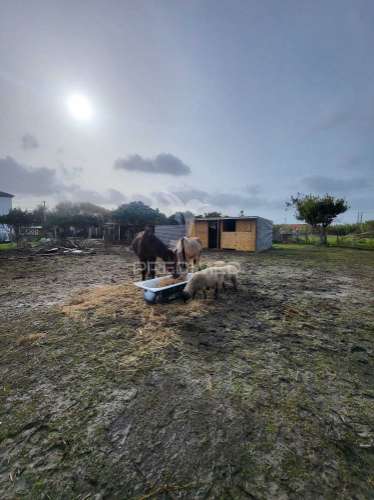 Maravilhosa quintinha t4 + t2 oportunidade