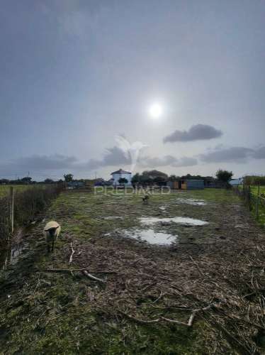 Maravilhosa quintinha t4 + t2 oportunidade