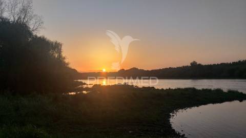 Quinta para eventos, com moradia t3, junto ao tejo em alvega