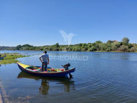 Quinta para eventos, com moradia t3, junto ao tejo em alvega