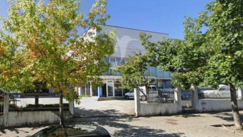 Armazém - bragança