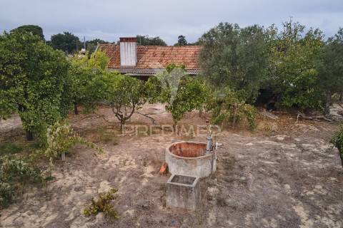 Monte alentejano para recuperar - grândola