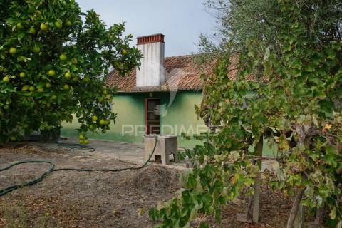 Monte alentejano para recuperar - grândola