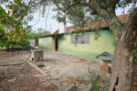 Monte alentejano para recuperar - grândola