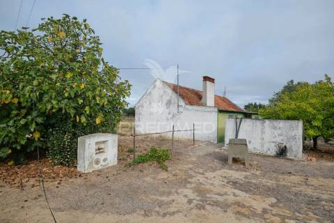 Monte alentejano para recuperar - grândola