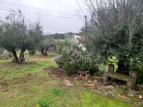 Quintinha t2 em urra