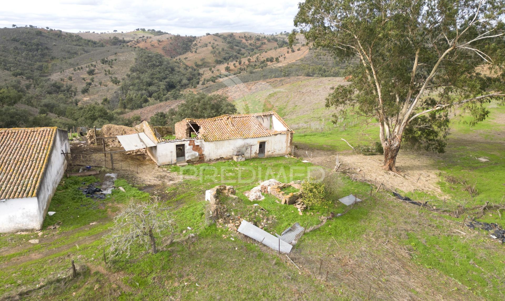 Herdade em luzianes gare com 57,2250 hectares e duas ruínas