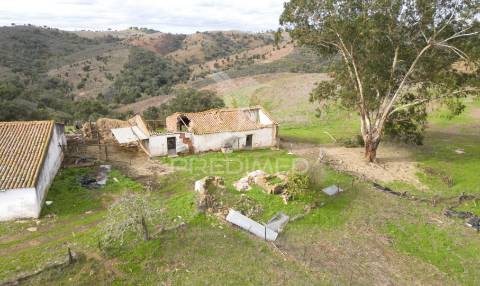 Herdade em luzianes gare com 57,2250 hectares e duas ruínas