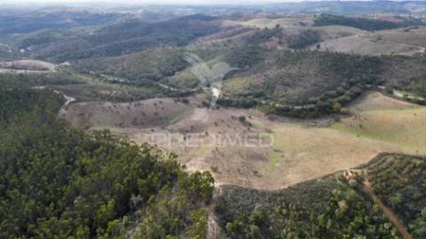 Herdade em luzianes gare com 57,2250 hectares e duas ruínas