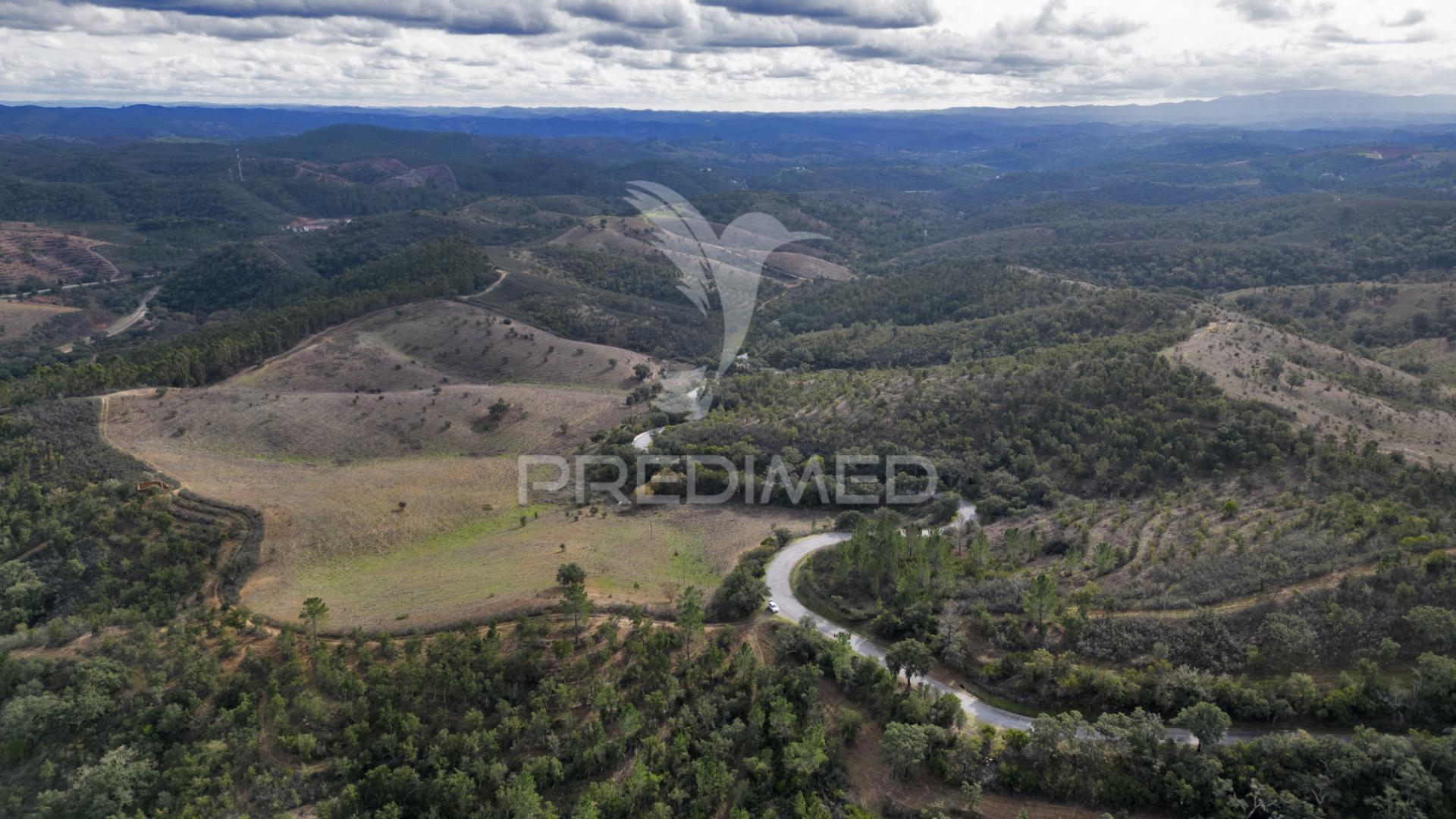 Herdade em luzianes gare com 57,2250 hectares e duas ruínas