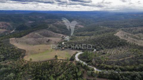 Herdade em luzianes gare com 57,2250 hectares e duas ruínas