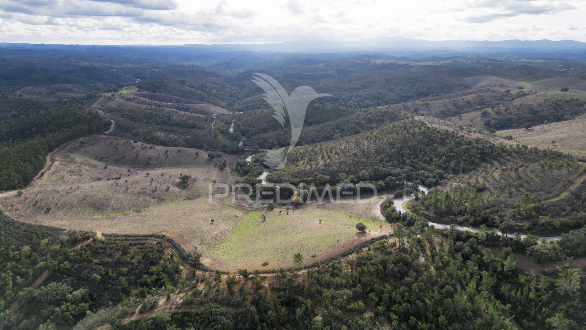 Herdade em luzianes gare com 57,2250 hectares e duas ruínas