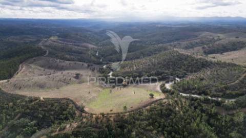 Herdade em luzianes gare com 57,2250 hectares e duas ruínas