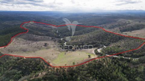 Herdade em luzianes gare com 57,2250 hectares e duas ruínas