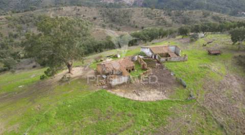 Herdade em luzianes gare com 57,2250 hectares e duas ruínas