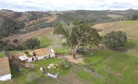 Herdade em luzianes gare com 57,2250 hectares e duas ruínas