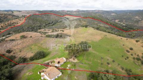 Herdade em luzianes gare com 57,2250 hectares e duas ruínas