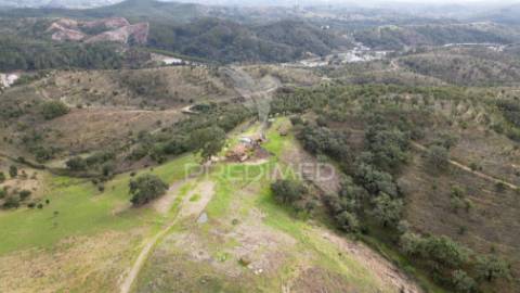 Herdade em luzianes gare com 57,2250 hectares e duas ruínas