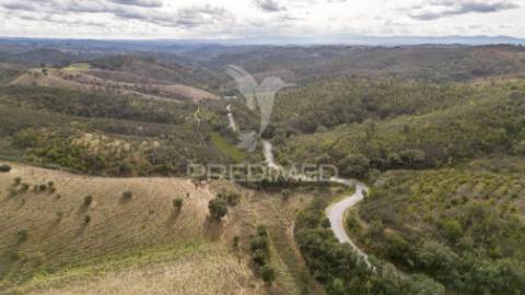 Herdade em luzianes gare com 57,2250 hectares e duas ruínas