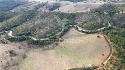 Herdade em luzianes gare com 57,2250 hectares e duas ruínas