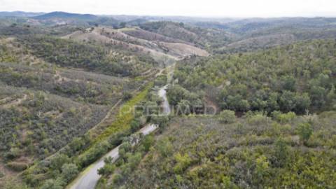 Herdade em luzianes gare com 57,2250 hectares e duas ruínas