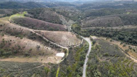 Herdade em luzianes gare com 57,2250 hectares e duas ruínas