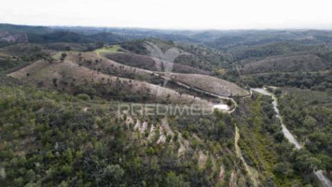 Herdade em luzianes gare com 57,2250 hectares e duas ruínas