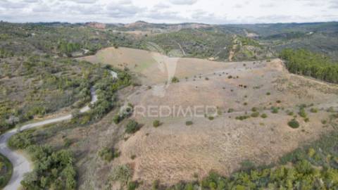 Herdade em luzianes gare com 57,2250 hectares e duas ruínas