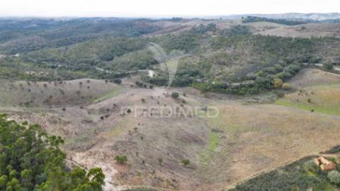 Herdade em luzianes gare com 57,2250 hectares e duas ruínas