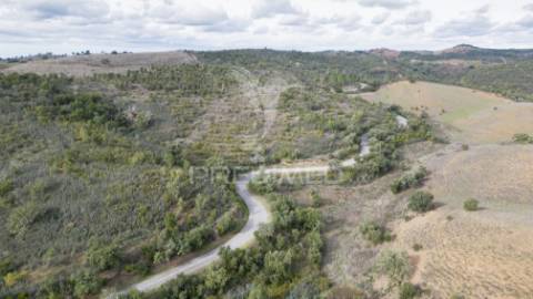Herdade em luzianes gare com 57,2250 hectares e duas ruínas