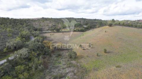 Herdade em luzianes gare com 57,2250 hectares e duas ruínas