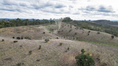 Herdade em luzianes gare com 57,2250 hectares e duas ruínas