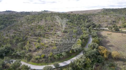 Herdade em luzianes gare com 57,2250 hectares e duas ruínas