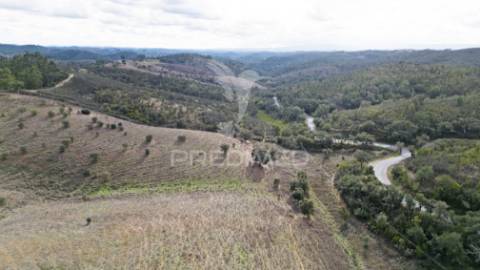 Herdade em luzianes gare com 57,2250 hectares e duas ruínas
