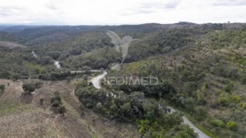 Herdade em luzianes gare com 57,2250 hectares e duas ruínas
