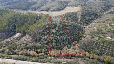 Herdade em luzianes gare com 57,2250 hectares e duas ruínas