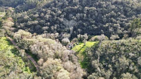 Herdade em luzianes gare com 57,2250 hectares e duas ruínas