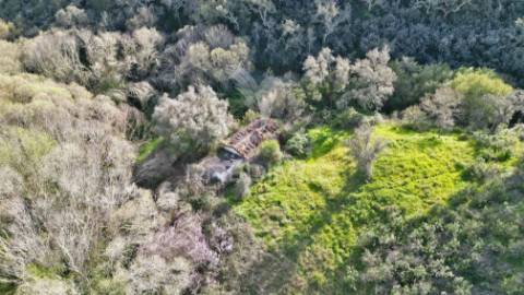 Herdade em luzianes gare com 57,2250 hectares e duas ruínas