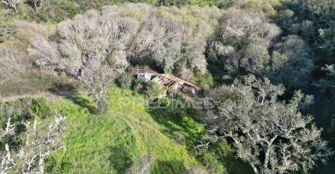 Herdade em luzianes gare com 57,2250 hectares e duas ruínas
