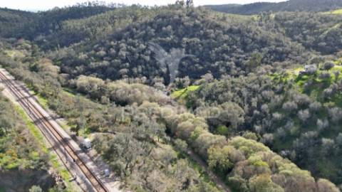 Herdade em luzianes gare com 57,2250 hectares e duas ruínas