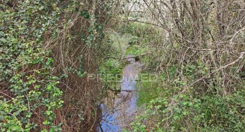 Herdade em luzianes gare com 57,2250 hectares e duas ruínas