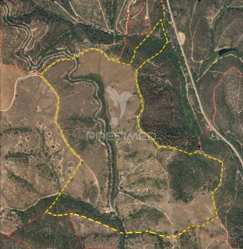 Herdade em luzianes gare com 57,2250 hectares e duas ruínas