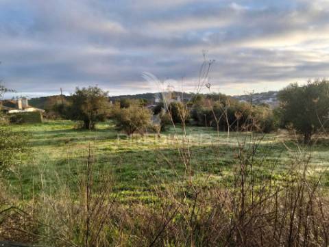 Moradia com 4 divisões + terreno rustico com 2750m2