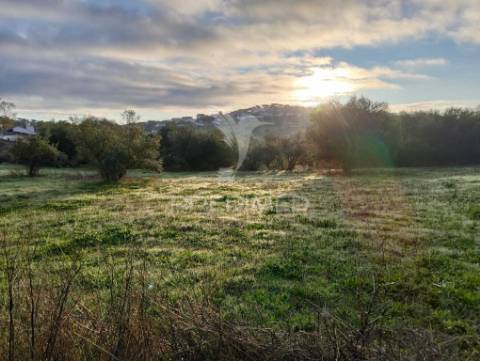 Moradia com 4 divisões + terreno rustico com 2750m2