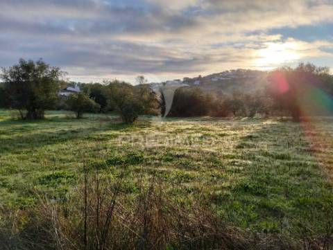 Moradia com 4 divisões + terreno rustico com 2750m2