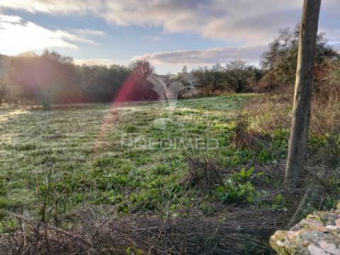 Moradia com 4 divisões + terreno rustico com 2750m2