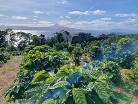 Terreno com viabilidade de construção na urzelina