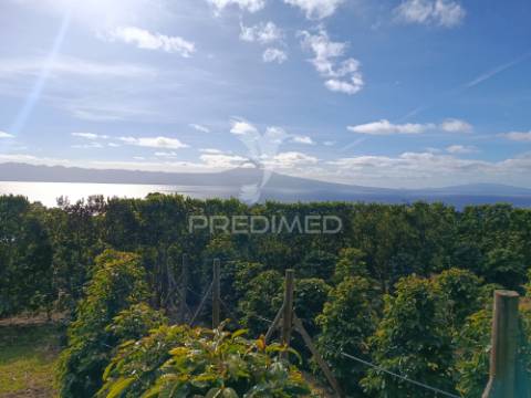 Terreno com viabilidade de construção na urzelina